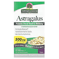 Астрагал, 500 мг, Astragalus, Nature's Answer, 60 вегетаріанських капсул