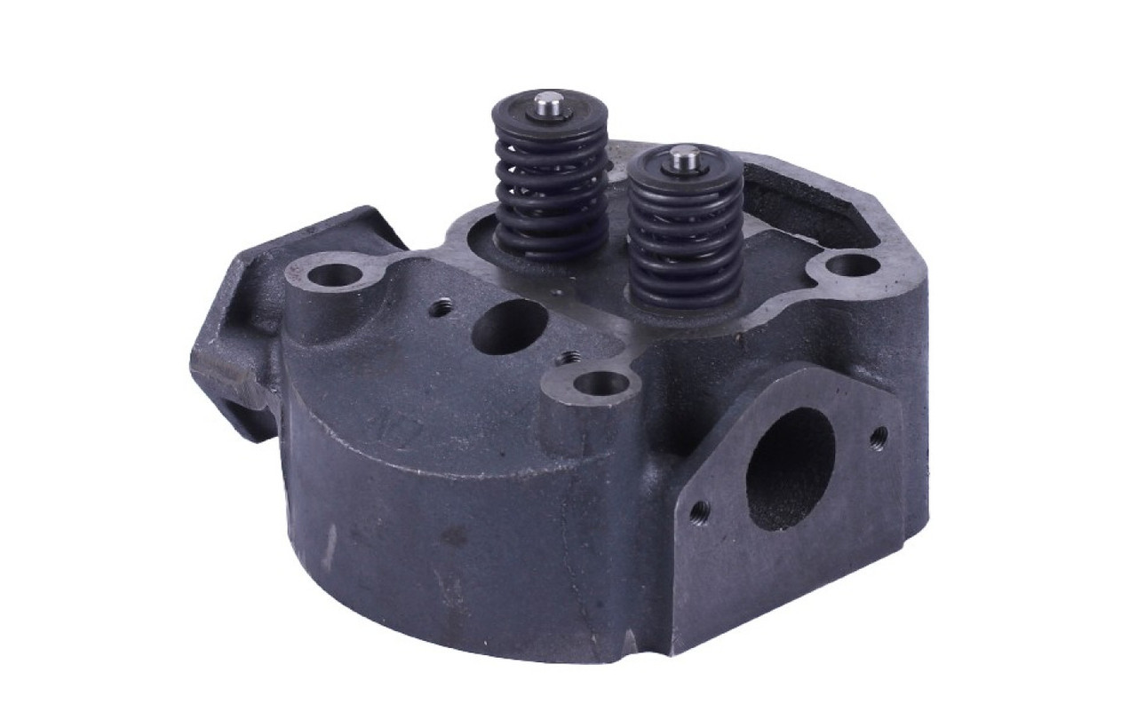 Головка циліндра YBX на дизельний двигун 195N (на мототрактор), фото 1