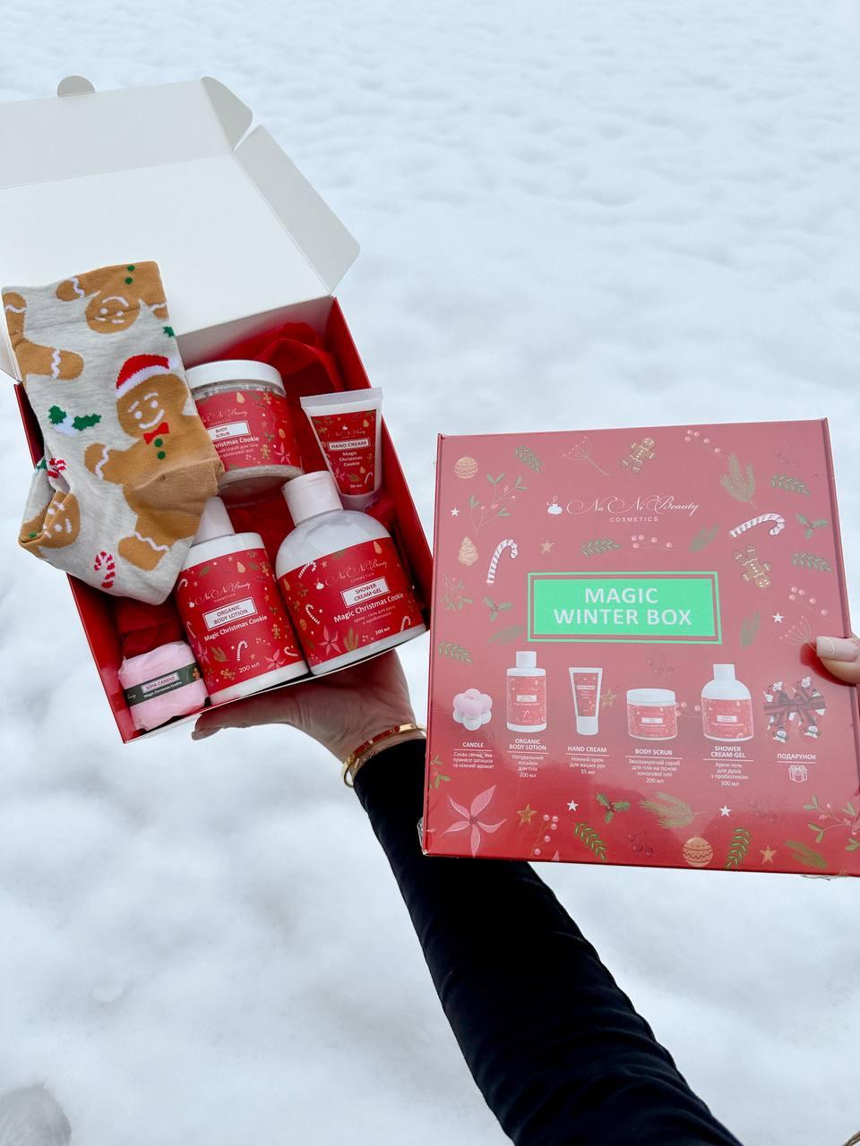 Новорічний подарунковий набір Christmas Box NaNiBeauty
