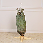 ЖИВА НОВОРІЧНА ЯЛИНА НОРДМАНА, ВИСОТА 1.25-1.5 м. З АВСТРІЇ ТА ДАНІЇ, фото 3