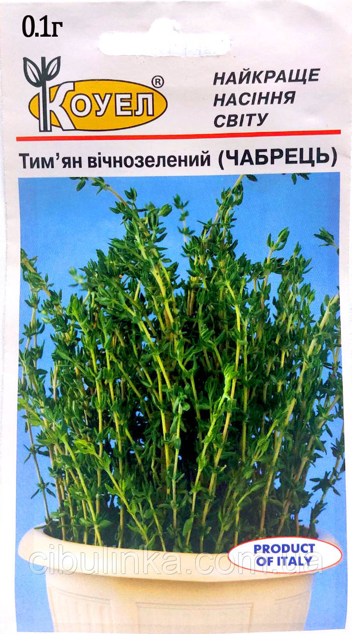 Тим`ян (чебрець) вічнозелений кущ Італія 0.1 г, фото 1