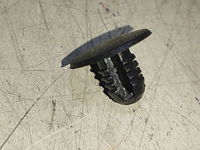 Shemi Клипса №50