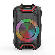 Колонка музична з дротовим мікрофоном та пультом ZQS8128, фото 6