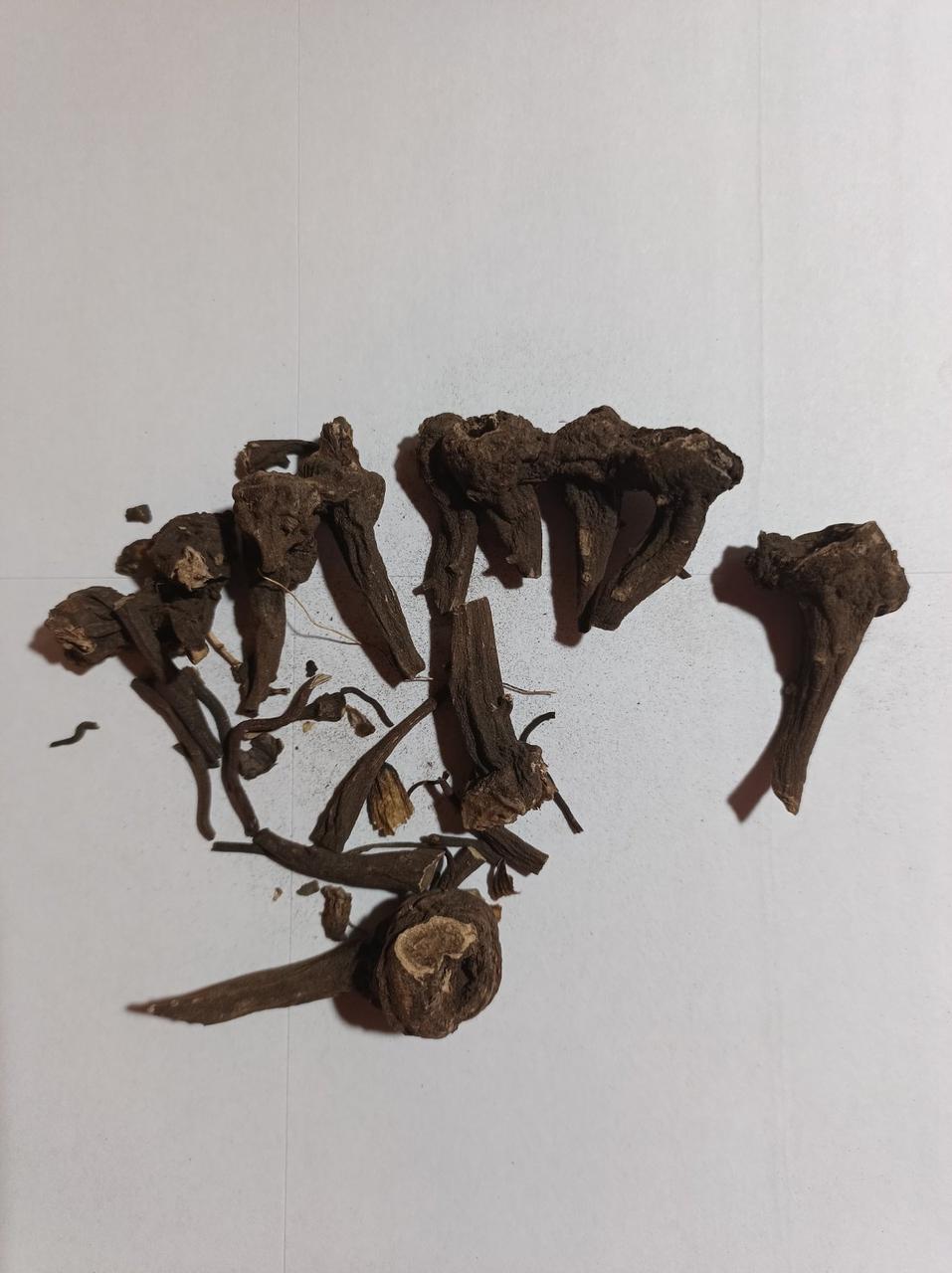 Аконіт джунгарський , корінь ( 10 грам), фото 1