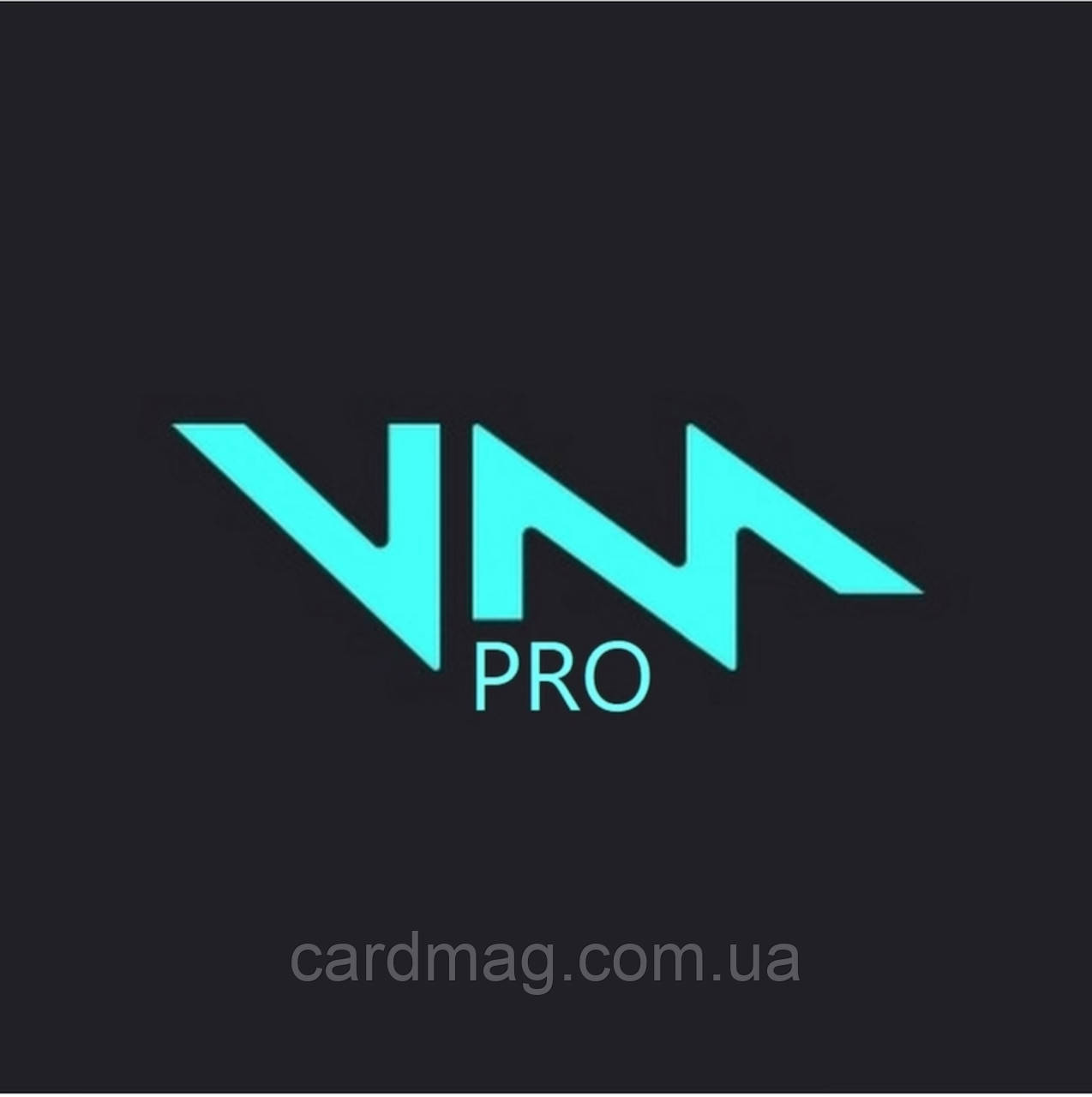 Voicemod PRO | Войсмод ПРО на 1 місяць (Ліцензійний код)