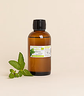 М'ята перцева (Mentha piperita) BIO Об'єм: 100 мл