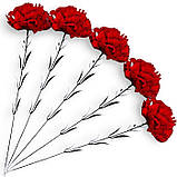 Гвоздика оксамитова оксамит, 60 см, фото 3