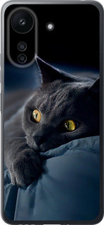 Чохол на Xiaomi Redmi 13C Димчастий кіт "825u-3410-5939"