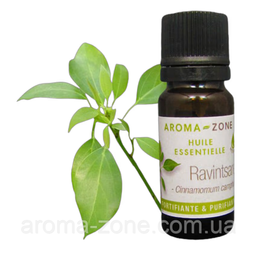 Равинтсара (Cinnamomum camphora) BIO Об'єм: 30 мл