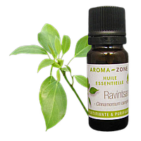 Равинтсара (Cinnamomum camphora) Об'єм: 10 мл