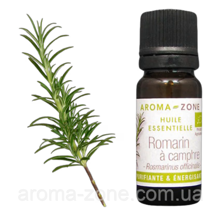 Розмарин камфорний (Rosmarinus officinalis) BIO Об'єм: 30 мл