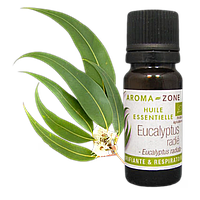Евкаліпт променистий (Eucalyptus radiata) BIO Об'єм: 10 мл