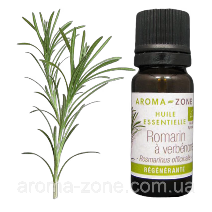 Ефірна олія Розмарин вербеній BIO (Rosmarinus officinalis CT verbénone ), 2 мл.
