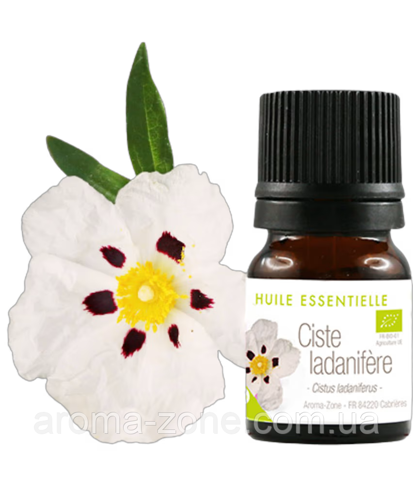 Ефірне масло Ладаника (Cistus ladaniferus) BIO Об'єм: 2 мл