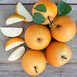 Новинка! Азіатська груша "Хоюро" (новий сорт азіатської груші)