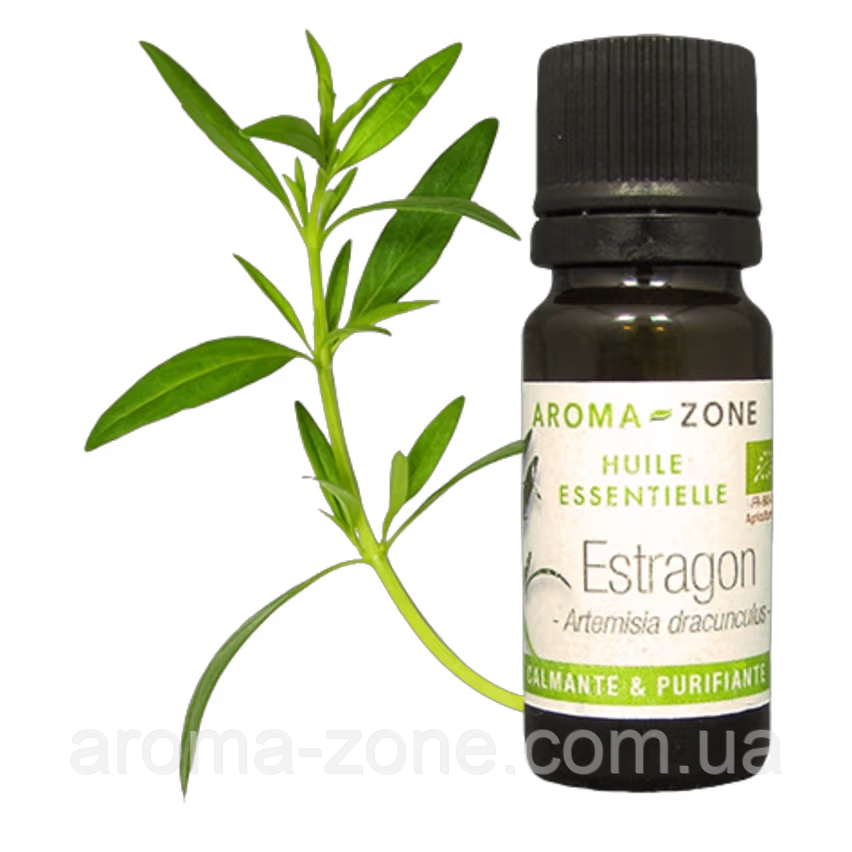 Ефірна олія Естрагон (Artemisia dracunculus) BIO Об'єм: 10 мл