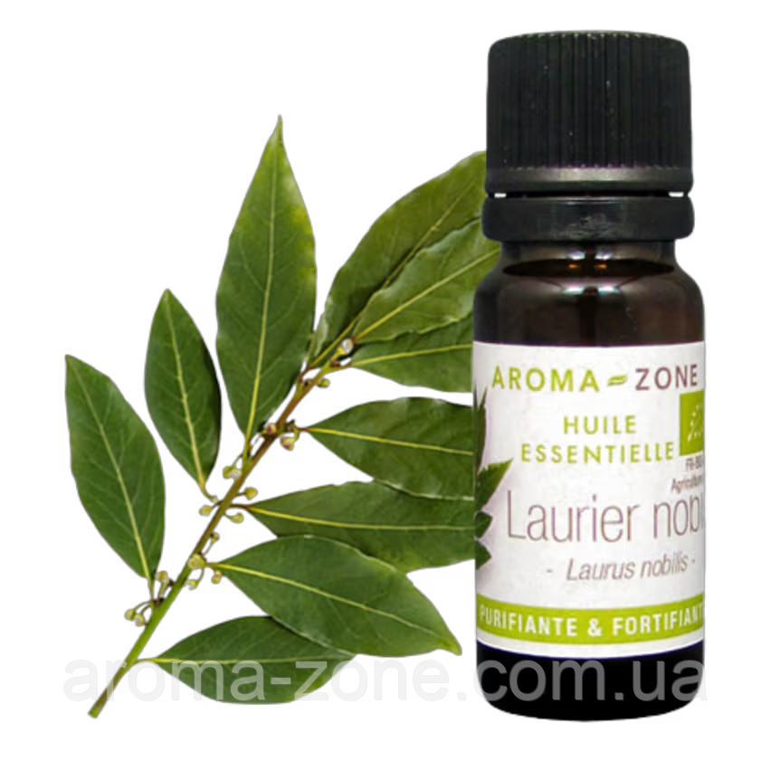Лавр благородний (Laurus nobilis) BIO Об'єм: 30 мл