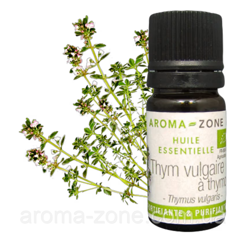 Ефірна олія Чебрець тимольний Прованс (Thymus vulgaris) BIO Об'єм: 5 мл