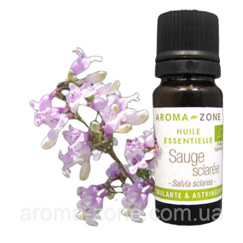 Шавлія мускатний (Salvia sclarea)BIO (Франція) Об'єм: 10 мл