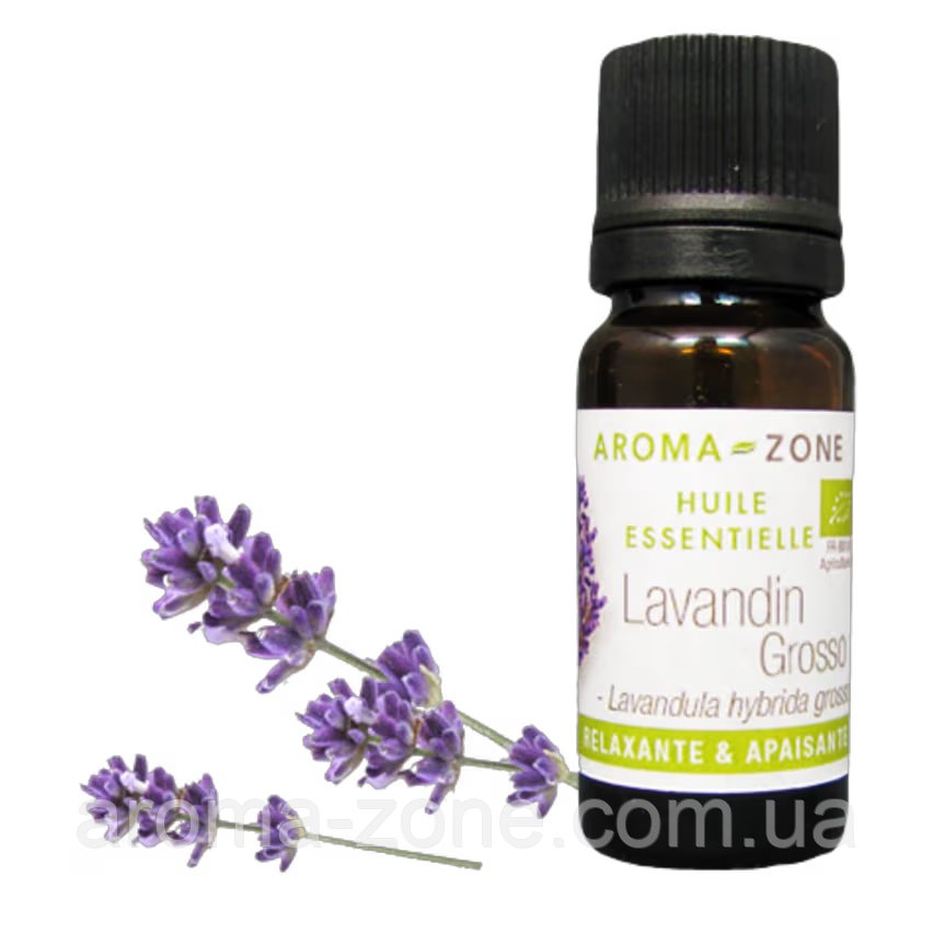 Лавандин Гроссо (Lavandula hybrida grosso) 30 мл