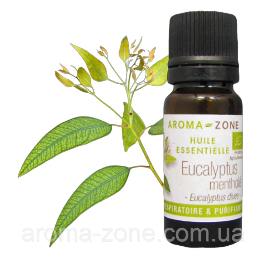 Евкаліпт ментоловий (Eucalyptus dives) BIO Об'єм: 10 мл