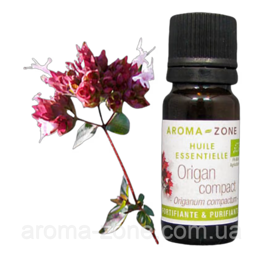 Ефірна олія Машица карликова (Origanum compactum) BIO Об'єм: 10 мл