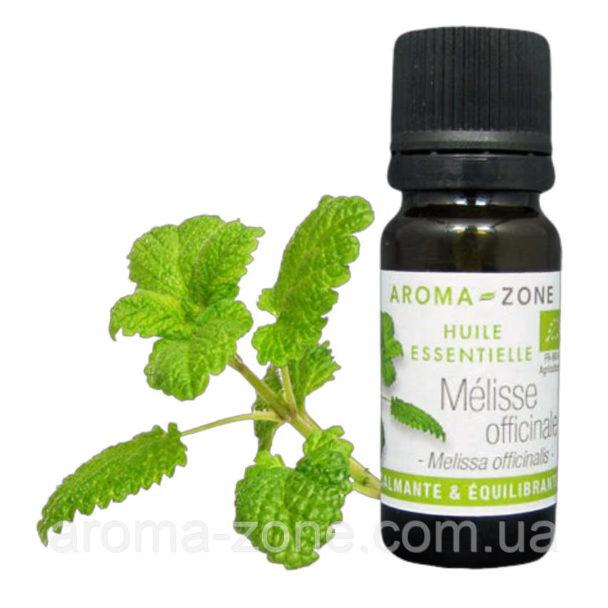Меліса (Melissa officinalis) BIO Об'єм: 5 мл