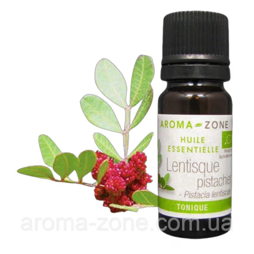 Фісташка мастична (Pistacia lentiscus) BIO Об'єм: 10 мл