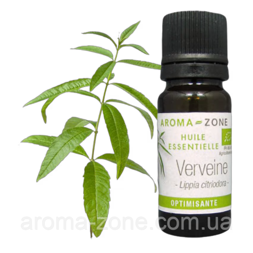 Вербена лимонна (Lippia citriodora) BIO Об'єм: 2 мл