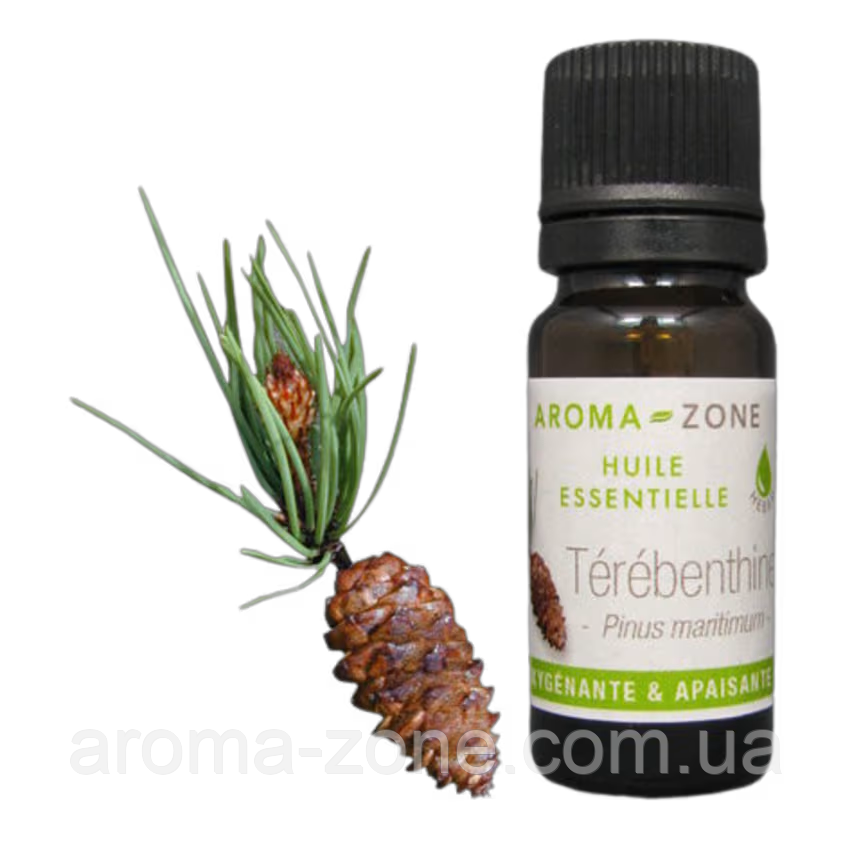 Скипидар (Pinus pinaster) BIO Об'єм: 10 мл