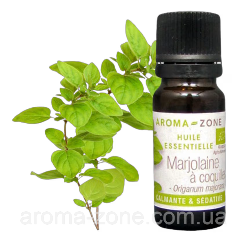 Ефірна олія майоран (Origanum majorana) BIO Об'єм: 5 млп