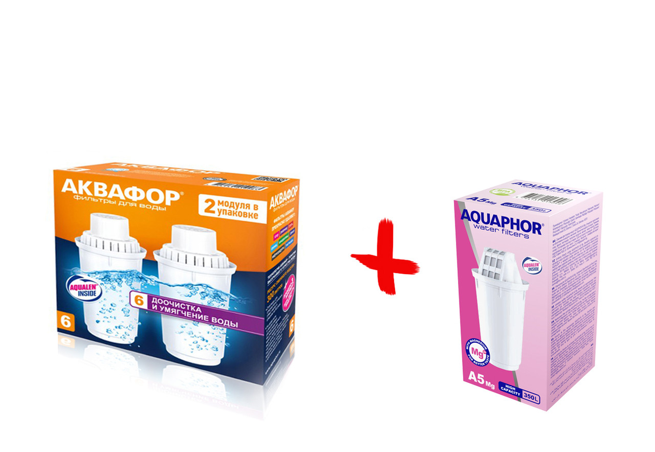 Змінний модуль Аквафор В100-6 ( картридж В6 2 шт. в комплекті + A5mg)