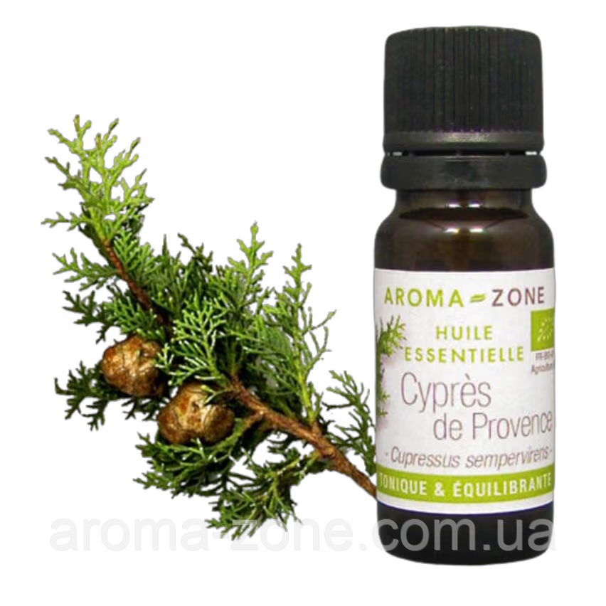 Кіпарис Прованс (Cupressus sempervirens) BIO Об'єм: 30 мл