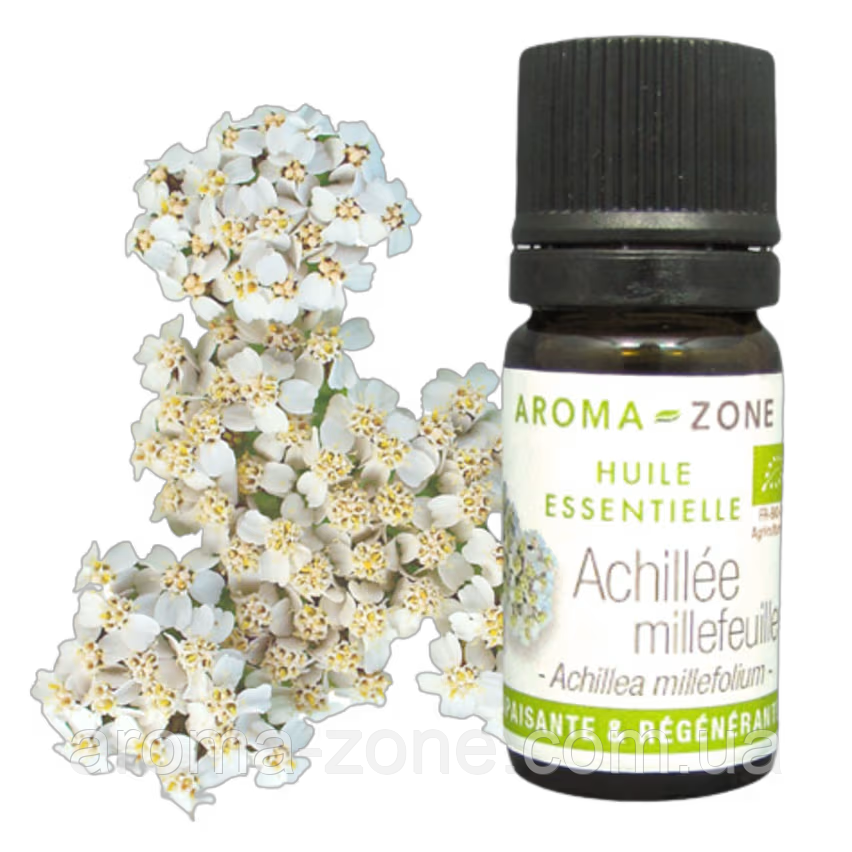 Деревій (Achillea millefolium) BIO Об'єм: 5 мл