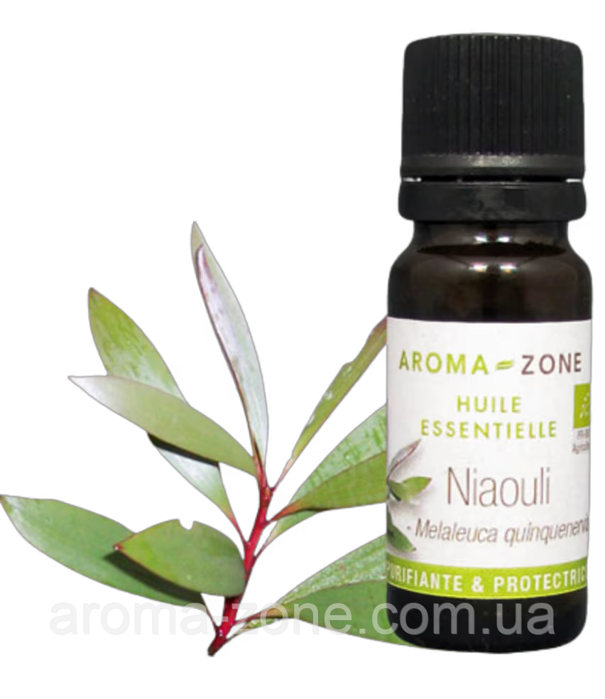 Ниаули (Melaleuca viridiflora) Об'єм: 10 мл