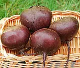 Буряк Ред Бул круглий, 5 г, фото 3