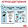 Royal Canin Mini Puppy 350г для цуценят міні порід, фото 4