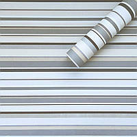 Самоклеюча плівка 0,45х10м х 0,07мм Світло-сталева SW-00001209