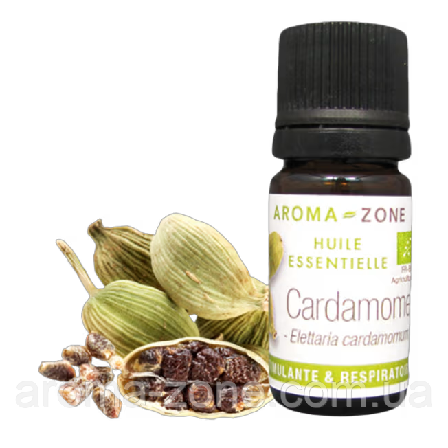 Кардамон (Elletaria cardamomum) Об'єм: 5 мл