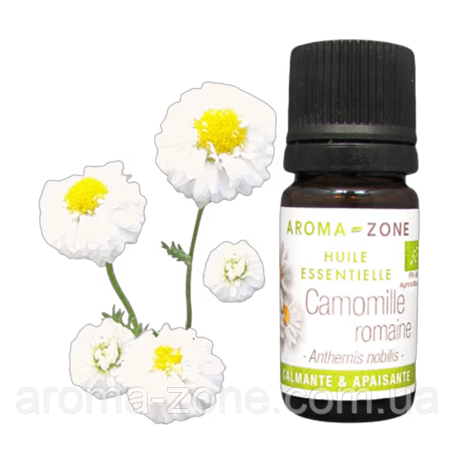 Ефірна олія Ромашка Франція BIO (Chamaemelum nobile)