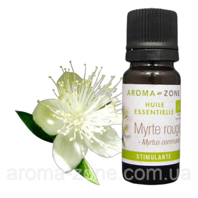 Мирт червоний (Myrtus communis) BIO Об'єм: 10 мл