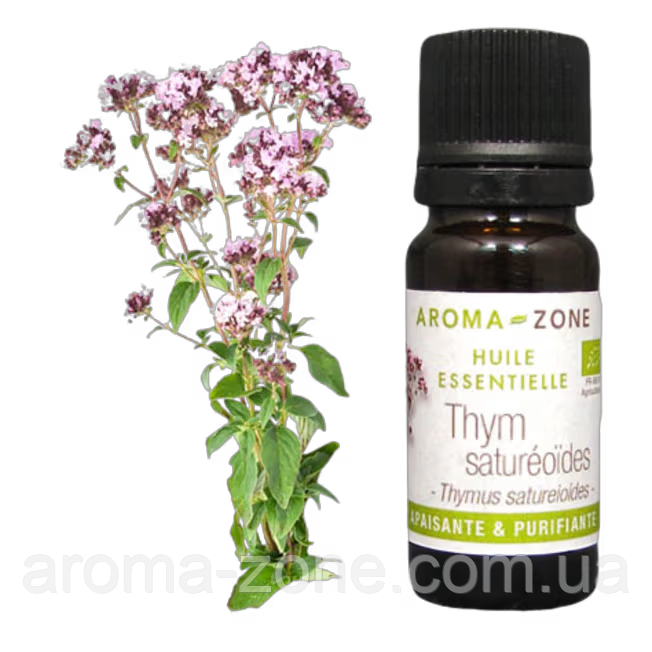 Чебрець марокканський (Thymus satureioides) BIO Об'єм: 10 мл