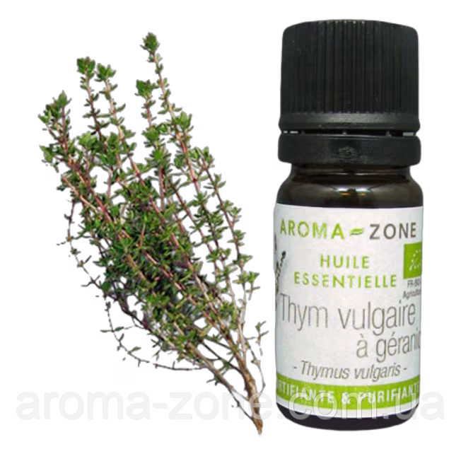 Чебрець гераниольный (Thymus vulgaris) BIO Об'єм: 5 мл