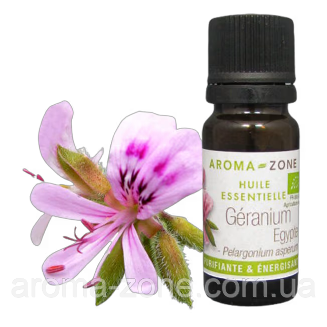 Герань рожева (Pelargonium asperum var. Інститут єгипту) BIO Об'єм: 10 мл