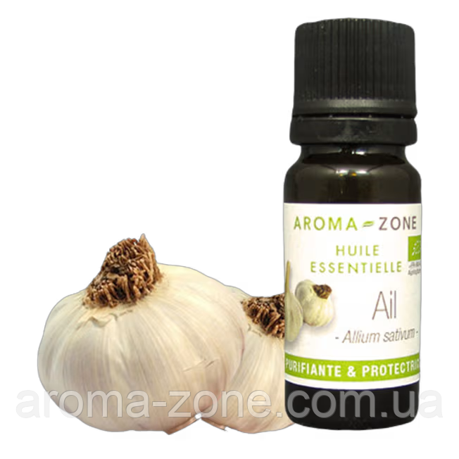 Часник (Allium sativum) Об'єм:5 мл