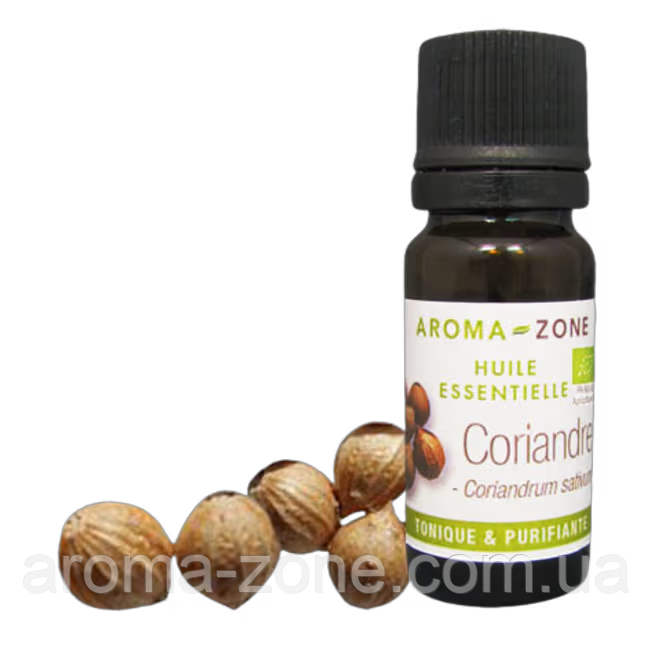 Коріандр (Coriandrum sativum) BIO Об'єм: 5 мл