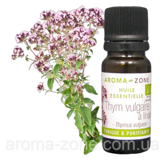 Ефірна олія Чебрець ліналоольний (Thymus vulgaris) BIO Іспанія Об'єм: 10 мл