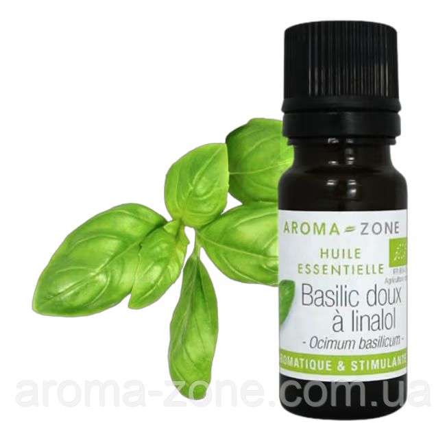 Ефірне масло Базилік линалоольный (Ocimum basilicum) BIO Об'єм: 10 мл
