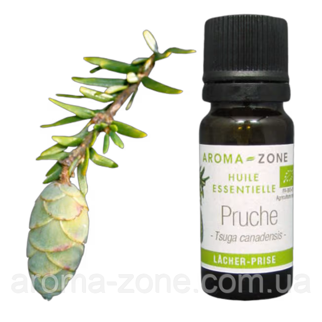 Тсуга (Tsuga cadanensis) BIO Об'єм: 5 мл