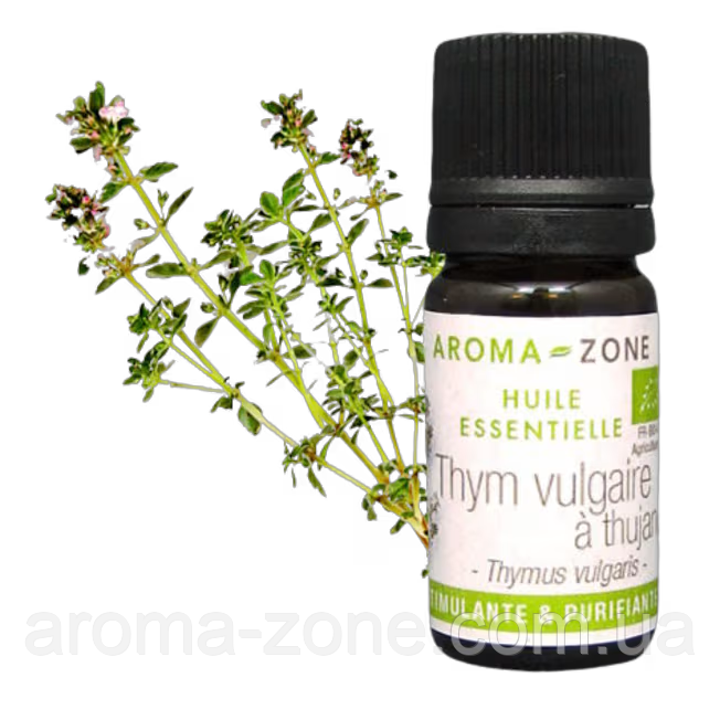 Ефірна олія Чебрець звичайний ХТ туянол (Thymus vulgaris CT thujanol) BIO Об'єм: 10 мл